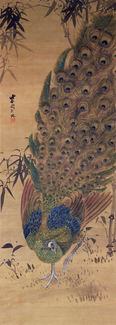 Peacock and Bamboo by Japanese School
